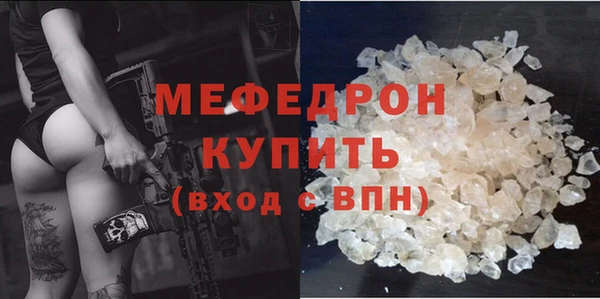 индика Новозыбков