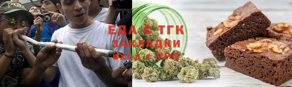 индика Новозыбков