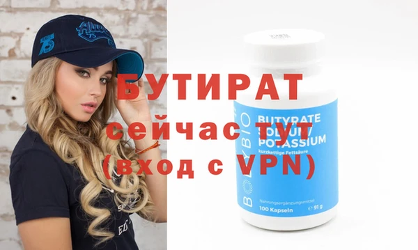 индика Новозыбков