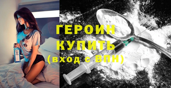 индика Новозыбков