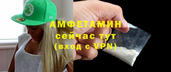 индика Новозыбков