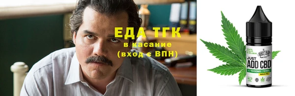 индика Новозыбков