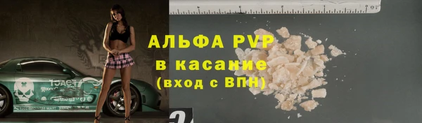 индика Новозыбков