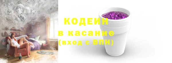 индика Новозыбков