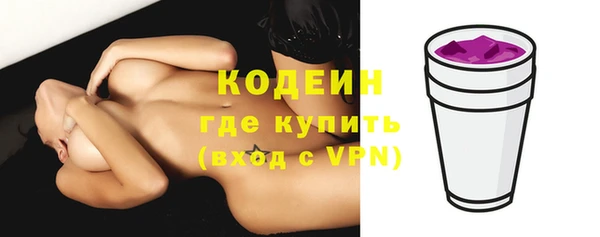 индика Новозыбков