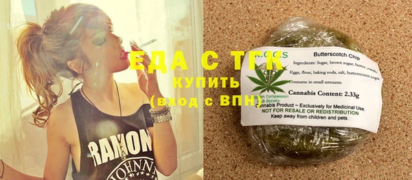 индика Новозыбков