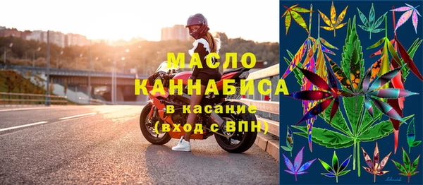 индика Новозыбков