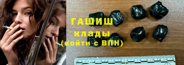 индика Новозыбков