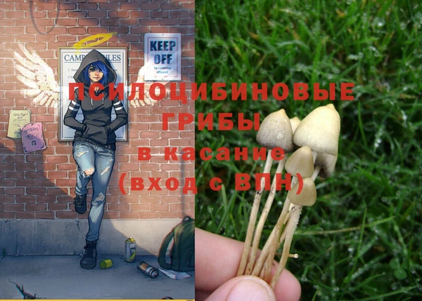 mix Новокубанск
