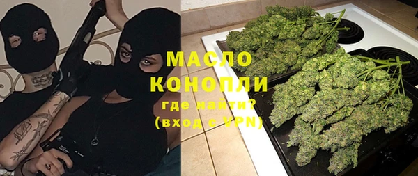 индика Новозыбков