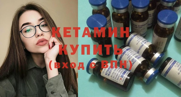 индика Новозыбков