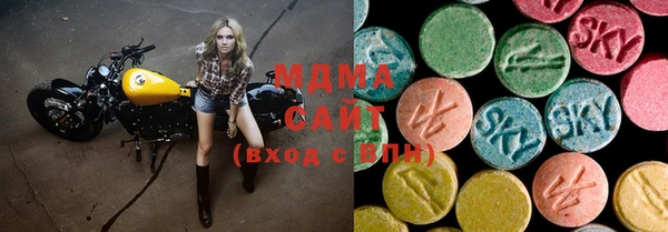 индика Новозыбков