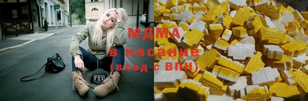 индика Новозыбков