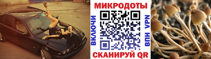 кракен как войти  закладки  Южноуральск  Галлюциногенные грибы мухоморы 