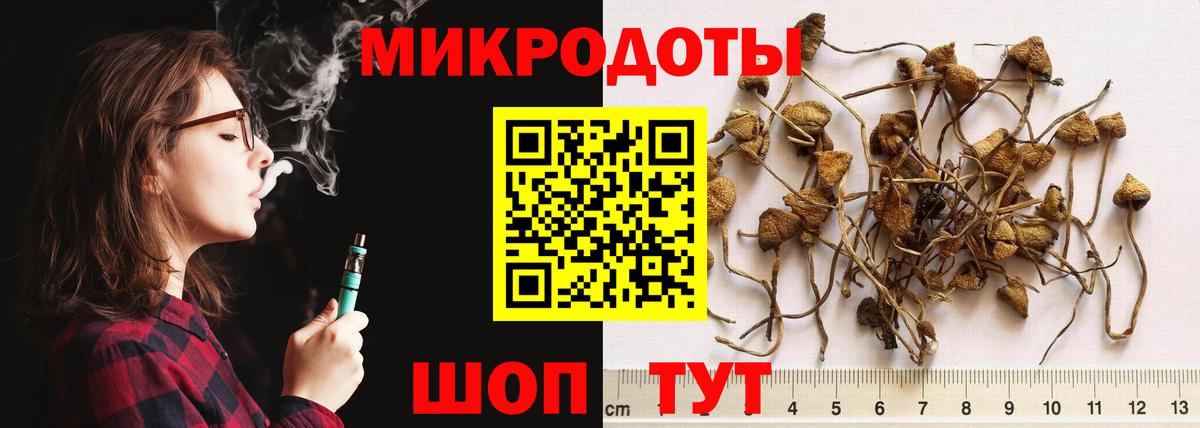 купить   Псилоцибиновые грибы мицелий  Вход с VPN  Южноуральск 